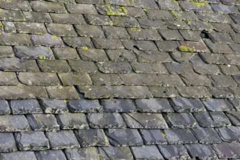 Discolored tiles on a slate roof in NC & SC area.