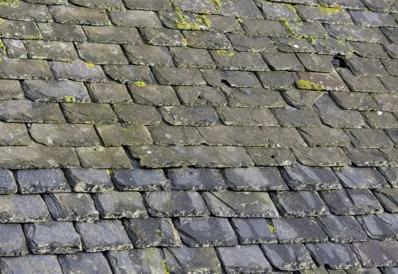 Discolored tiles on a slate roof in NC & SC area.