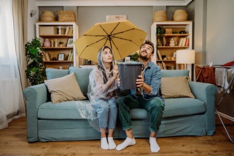 couple with roof link