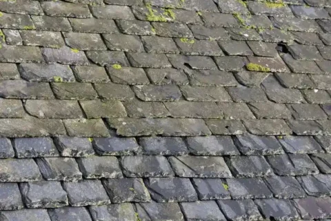 Discolored tiles on a slate roof in NC & SC area
